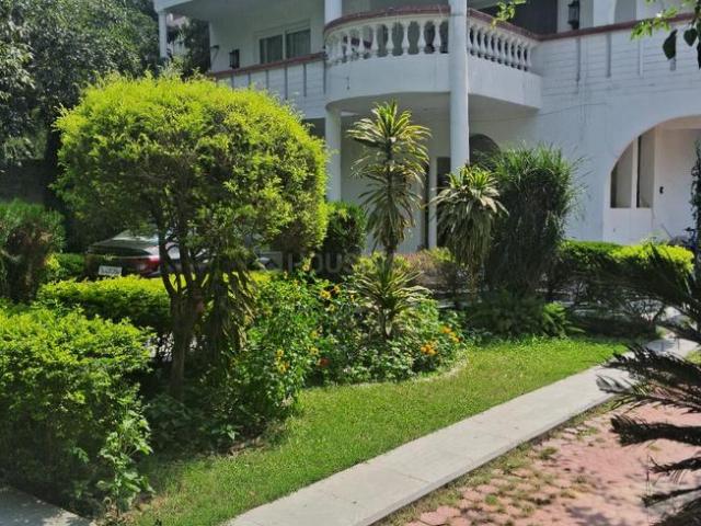 House for rent in South Delhi, Deri
