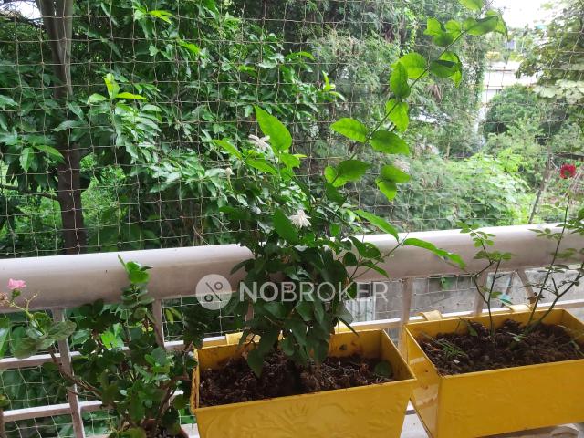Flat for rent in Aundh, Pune