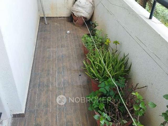 Flat for rent in Bangalore South, Cox Town - Bangalore