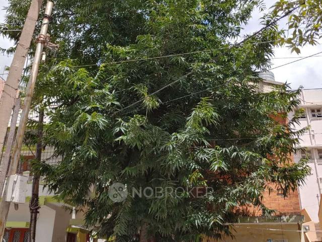 House for sale in Bangalore North, Cox Town - Bangalore