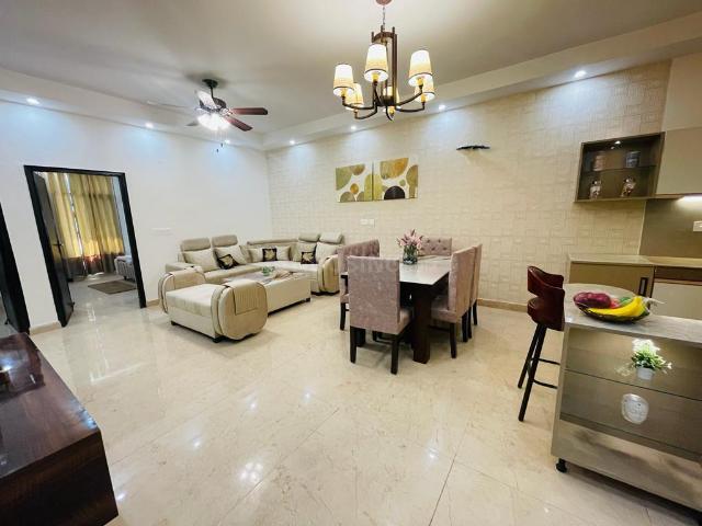 House for rent in Punjab