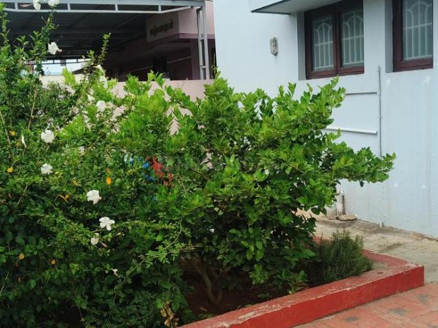 House for rent in Tamil Nadu