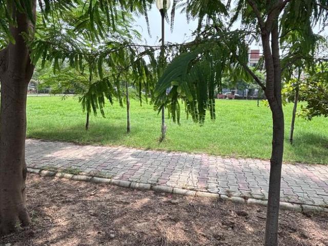 House for sale in Mohari, Punjab