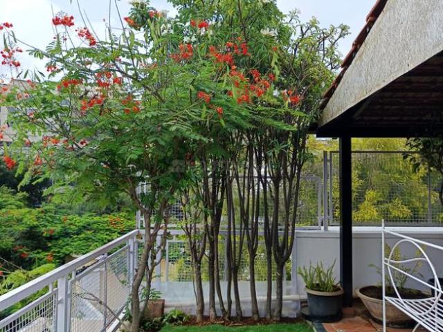 Flat for rent in Bangalore East, Cox Town - Bangalore