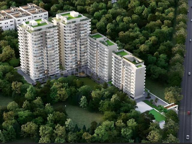 Flat for sale in Punjab