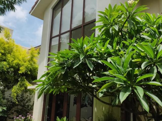 Villa for rent in Bangalore East, Cox Town - Bangalore