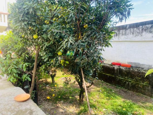 Villa for rent in Kedarpur, Uttarakhand