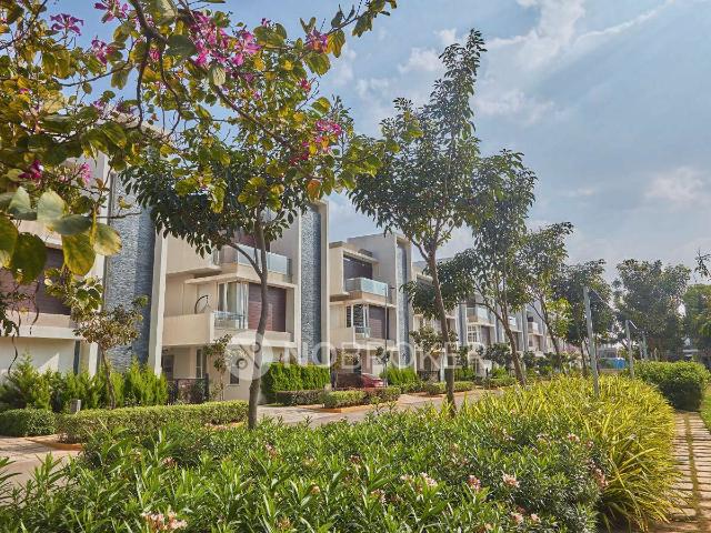 Property for rent in Bangalore South, Cox Town - Bangalore