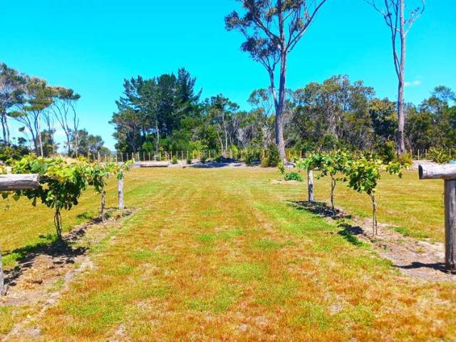 Property for sale in Lake Ohia, Te Hiku Community