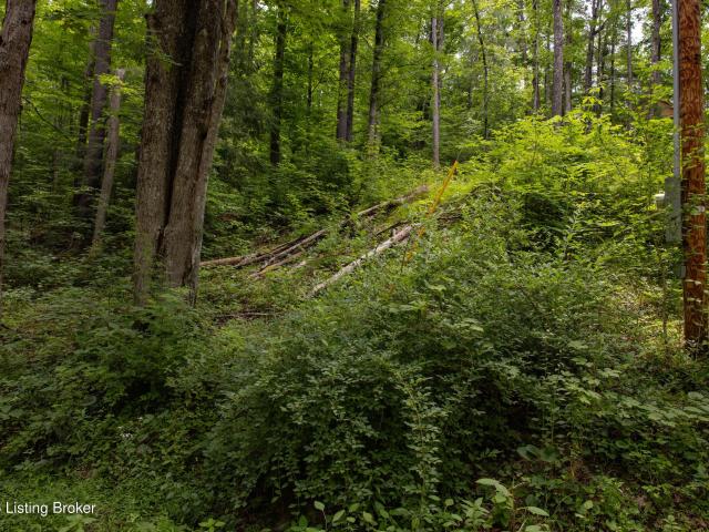 Land for sale in Wolfe, Kentucky