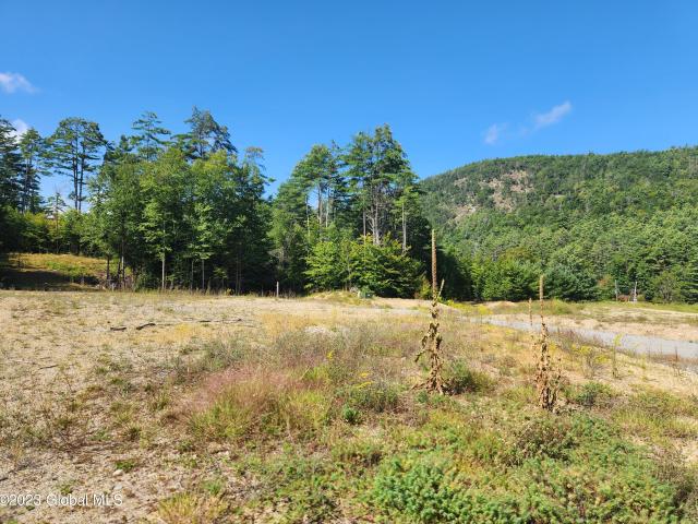 Land for sale in Brant Lake, New York