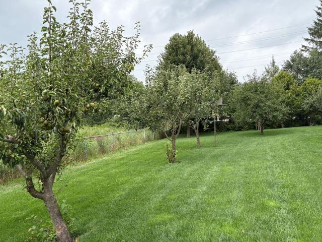 House for rent in Brown Hill, Golden Horseshoe