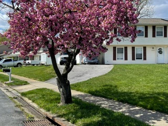 Apartment for rent in Gambrills, Maryland