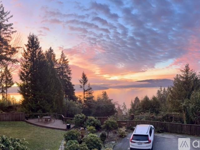 Apartment for rent in Bellevue