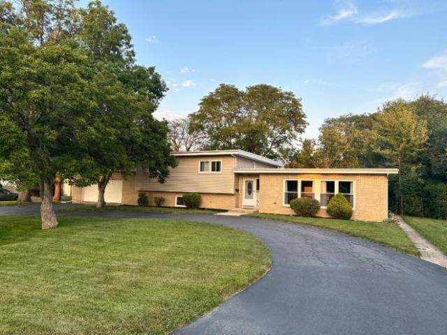 House for rent in Olympia Fields