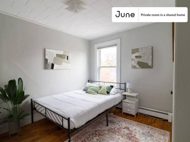 Room for rent in Cambridge, Massachusetts