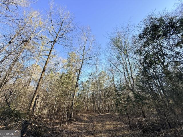 Land for sale in Tignall, Georgia