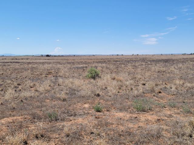 Land for sale in New Mexico