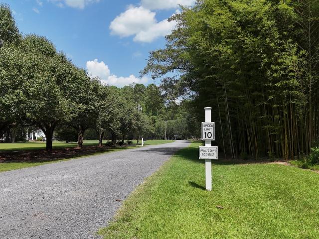 Land for sale in Ridgeville, Dorchester County