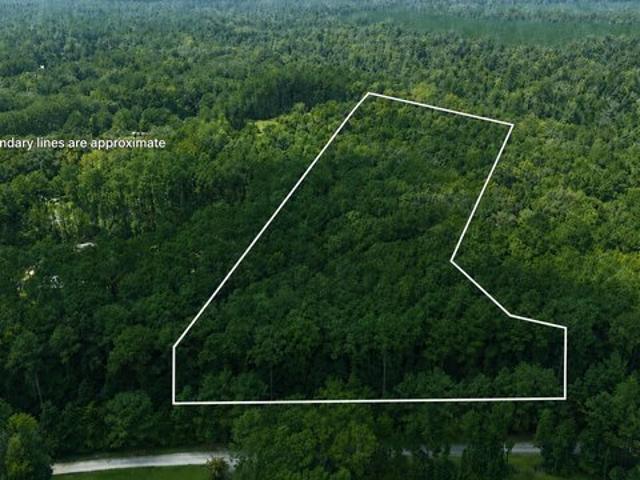 Land for sale in Ridgeville, Dorchester County