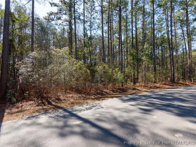 Land for sale in Scotland, North Carolina