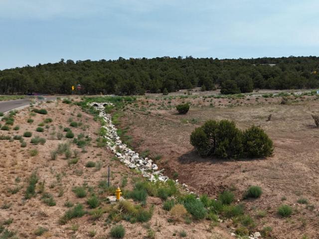 Land for sale in Placitas, New Mexico