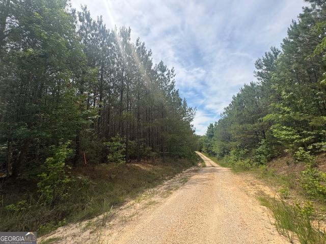 Land for sale in Tignall, Georgia