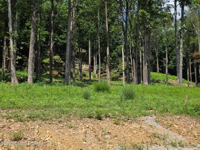 Land for sale in Kentucky