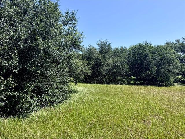 Land for sale in Blessing, Matagorda County