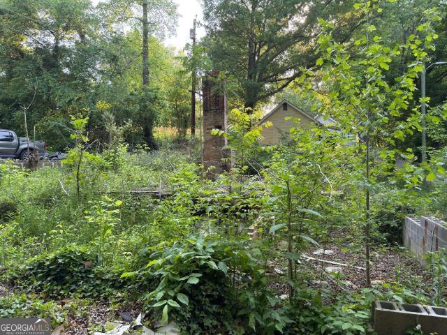 Land for sale in Georgia