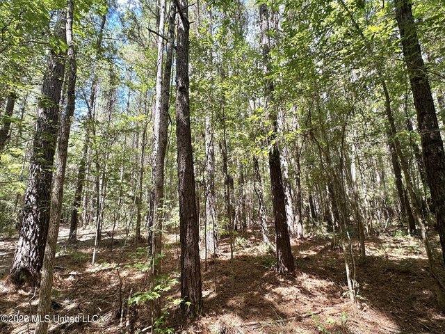 Land for sale in Braxton, Simpson County