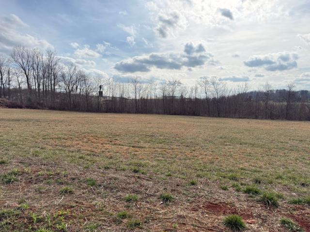Land for sale in Monticello, Kentucky