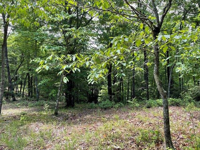 Land for sale in Andrews, North Carolina