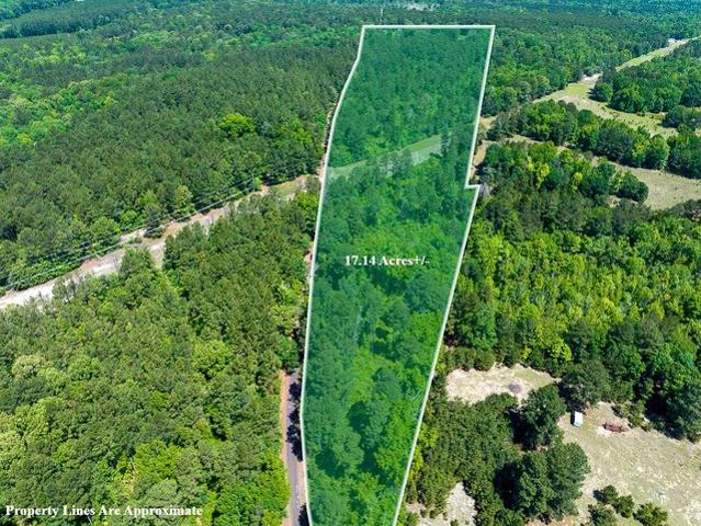 Land for sale in Atlanta, Texas