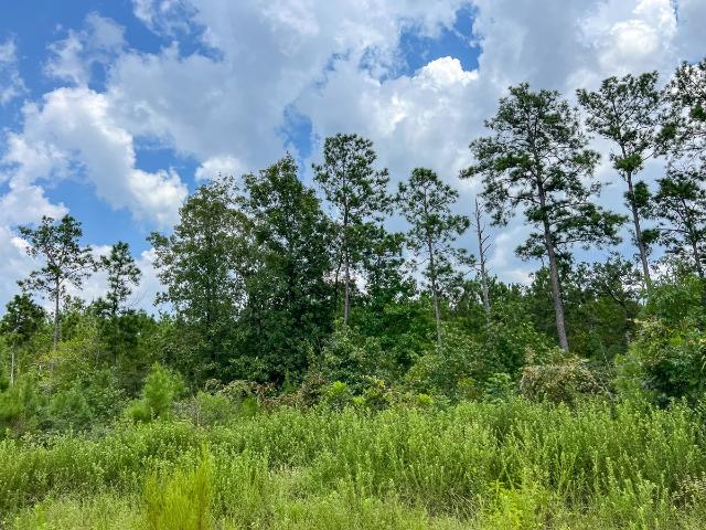 Land for sale in Jasper, Texas