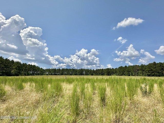 Land for sale in Enterprise, Mississippi