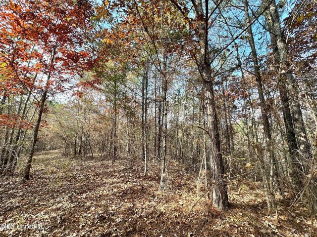 Land for sale in Mississippi
