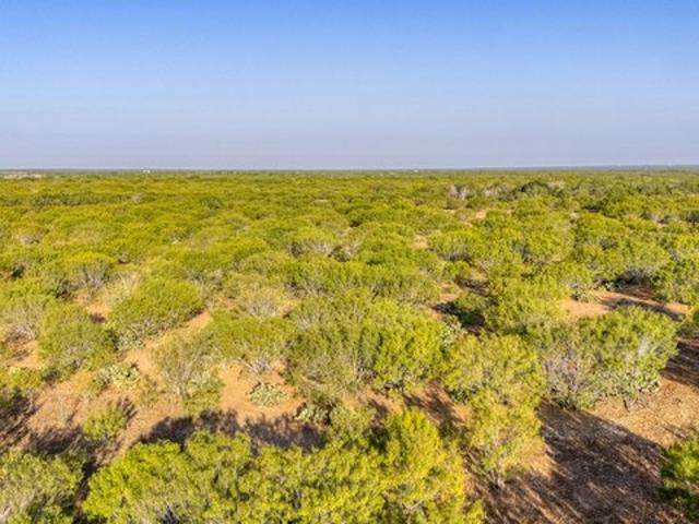 Farm for sale in Jourdanton, Texas
