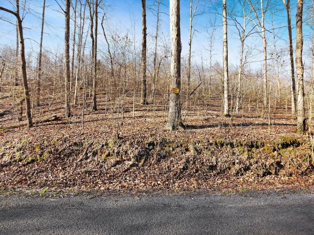 Land for sale in Tennessee