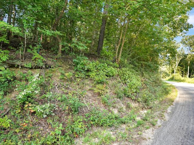 Land for sale in Tennessee