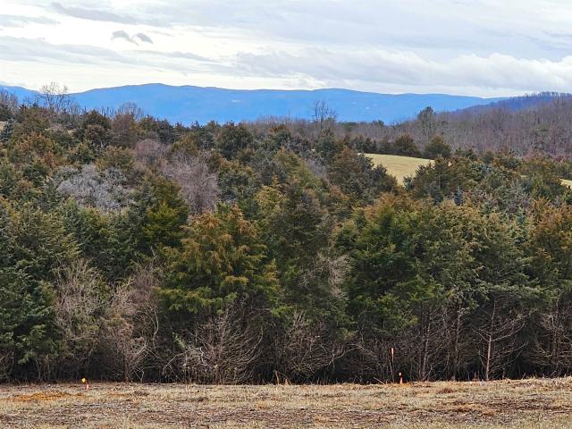 Land for sale in Virginia