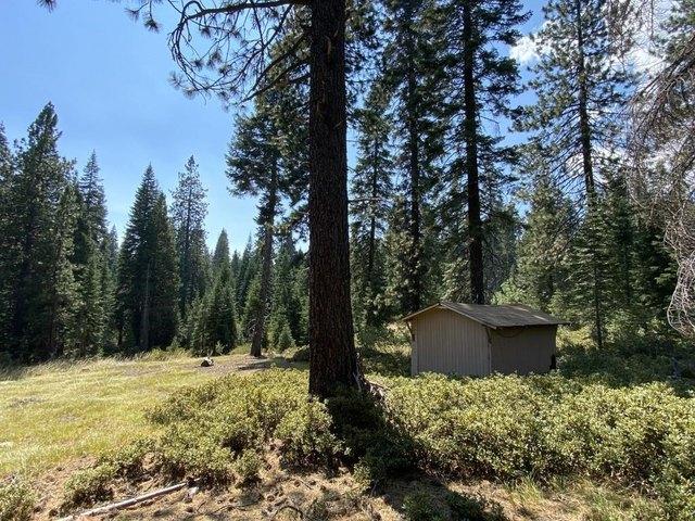 Land for sale in Mccloud, California