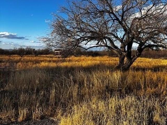 Land for sale in Arizona