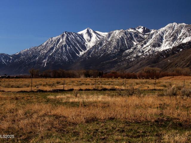 Land for sale in Genoa, Nevada