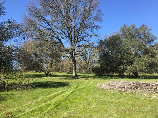 Land for sale in California