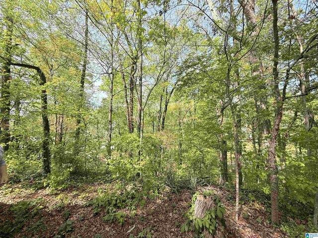 Land for sale in Athens, Alabama