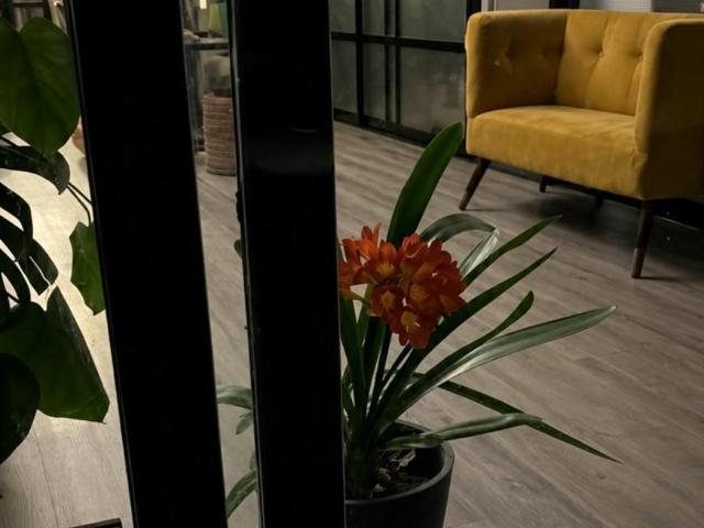 Apartamento en alquiler en Monte Alto, A Coruña