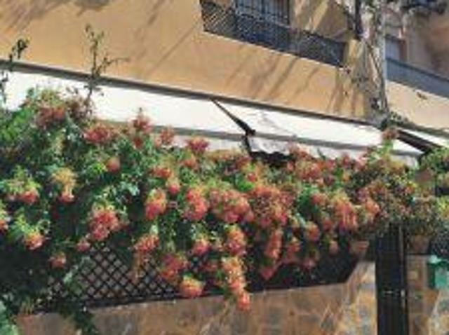 Apartamento en venta en Costa del Sol Occidental, Andalucía