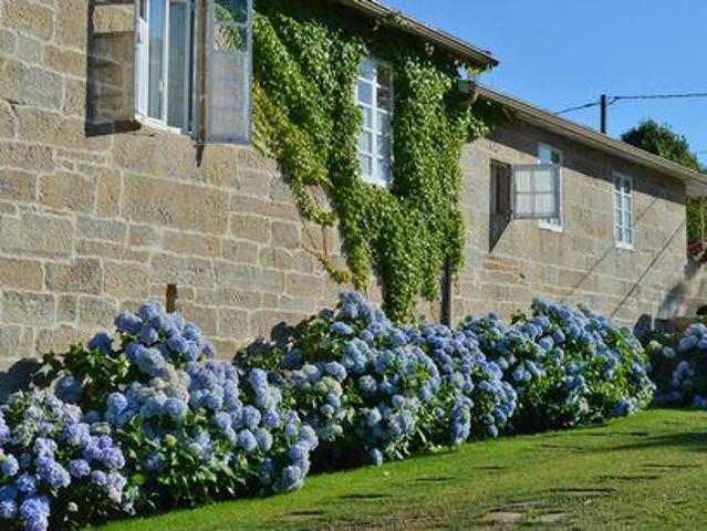 Casa en venta en A Limia, Galicia