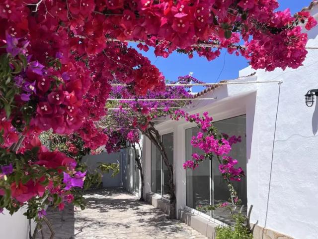 Casa en alquiler en l'Eucaliptus, Montsià